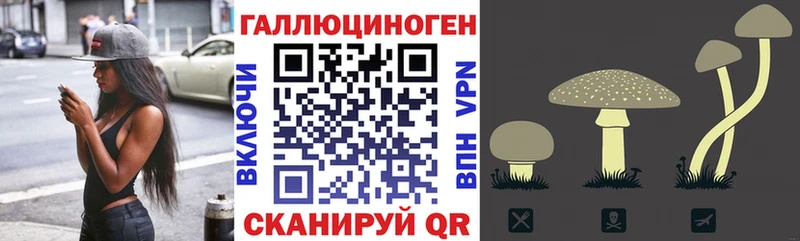 Галлюциногенные грибы Psilocybe  Электроугли 
